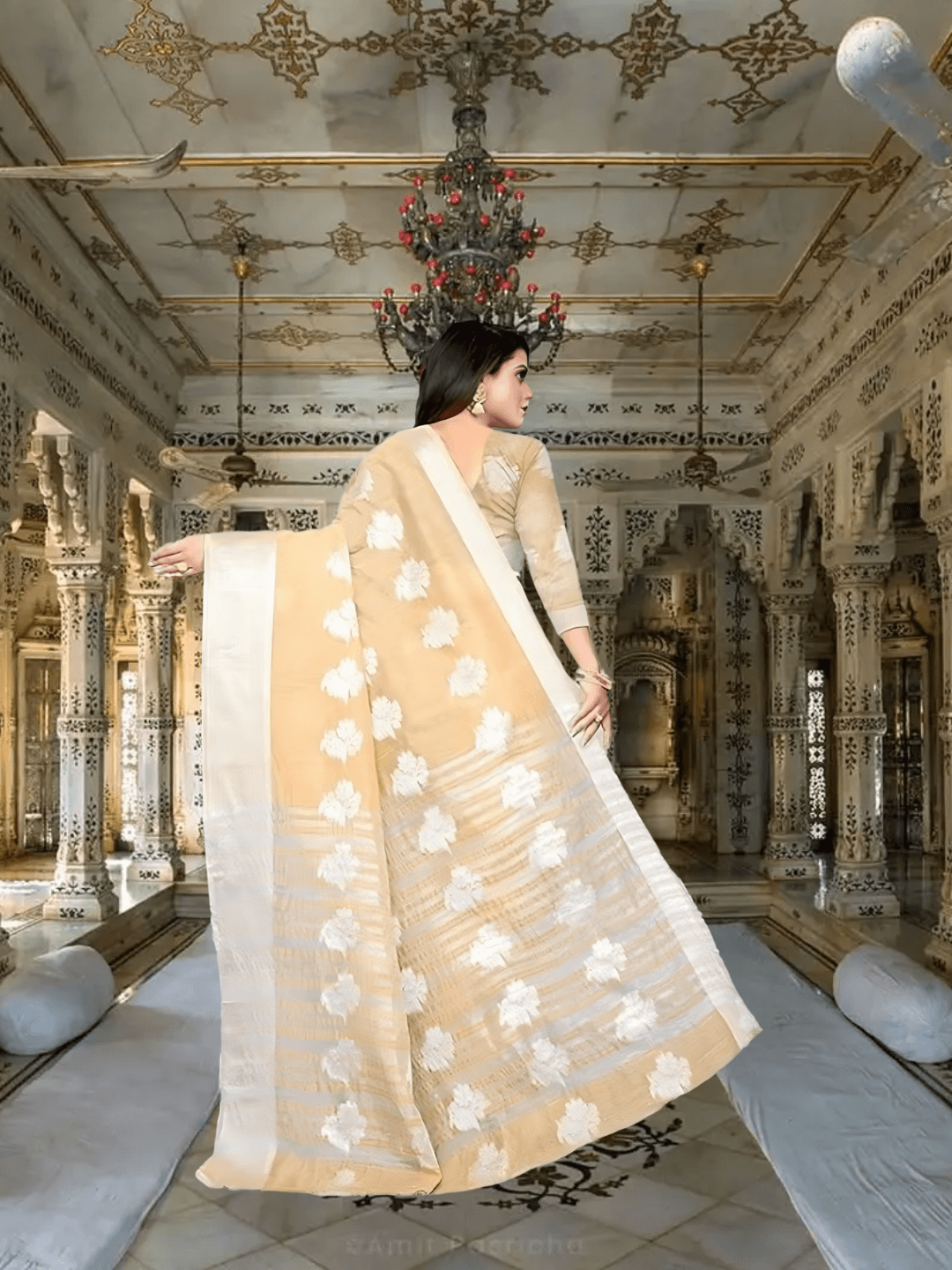 Professional woman wearing beige saree in corporate meeting setting