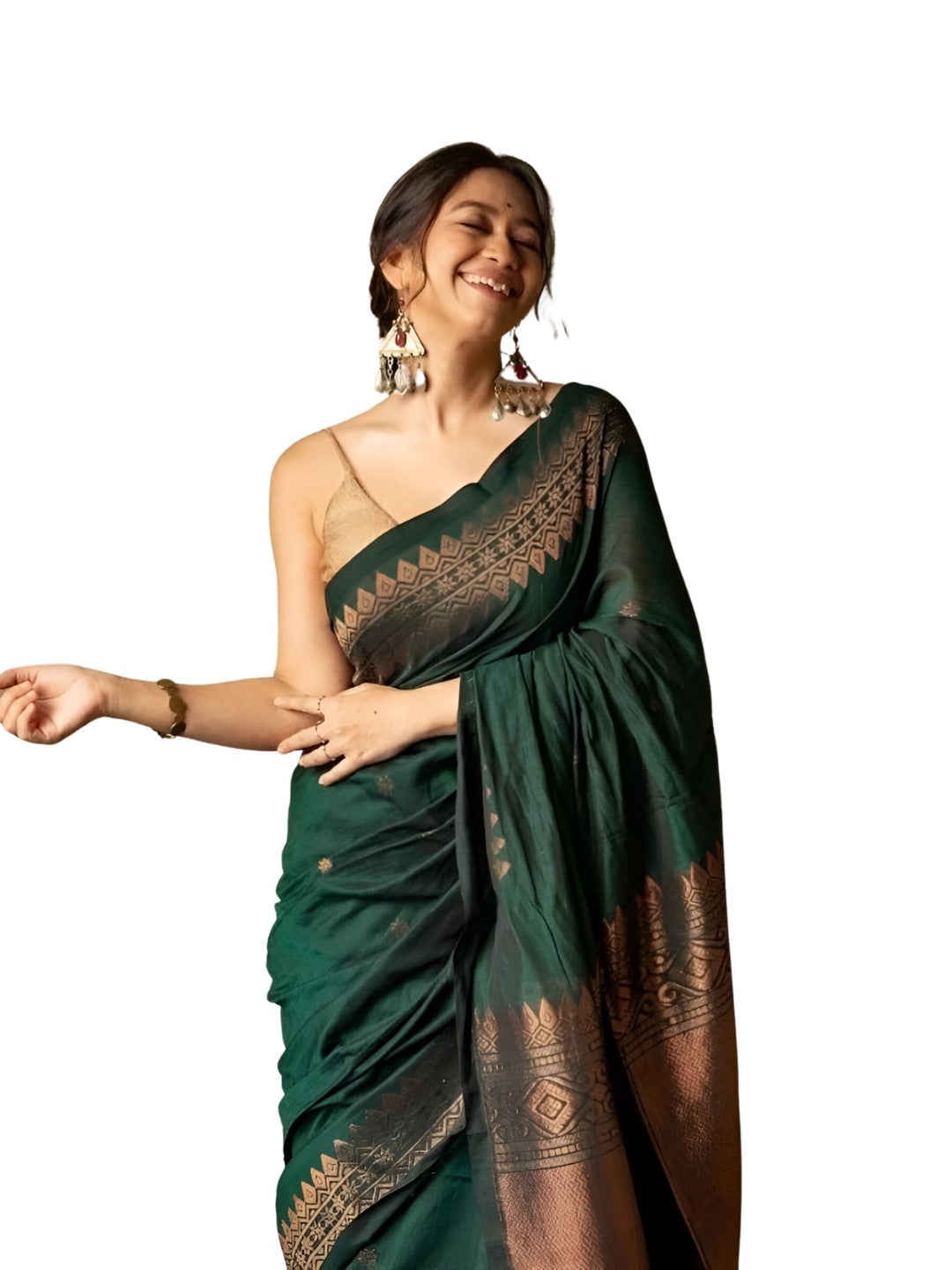 Studio image showing front view and pallu neatly styled