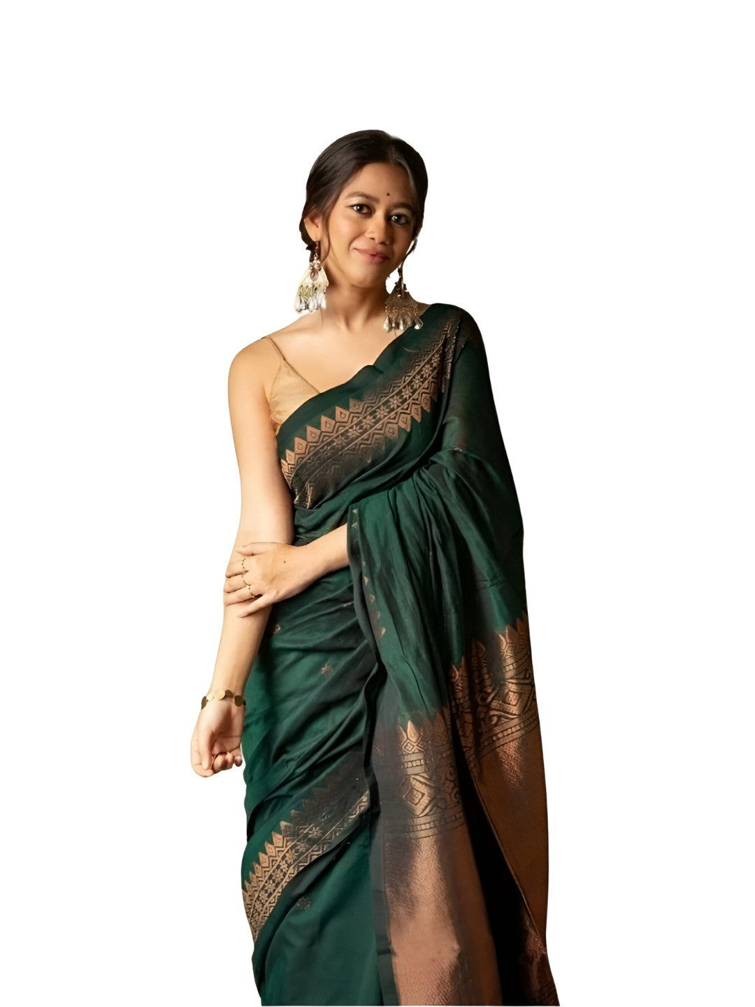 Studio image showing front view and pallu neatly styled