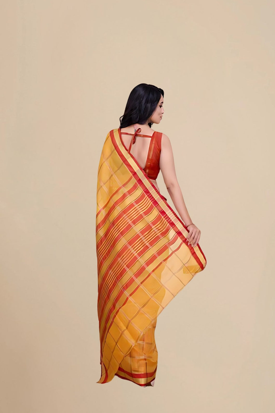 Studio back angle with pallu fall and blouse area