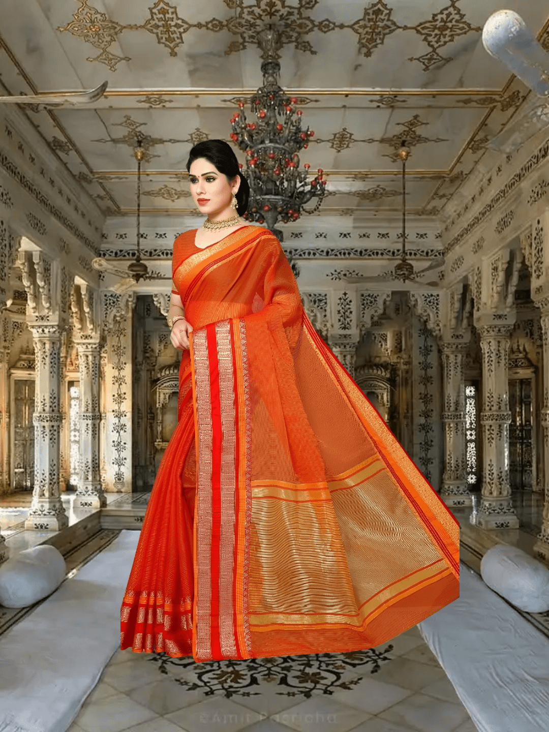 Back-facing shot with pallu extended, detailed view of border and fall