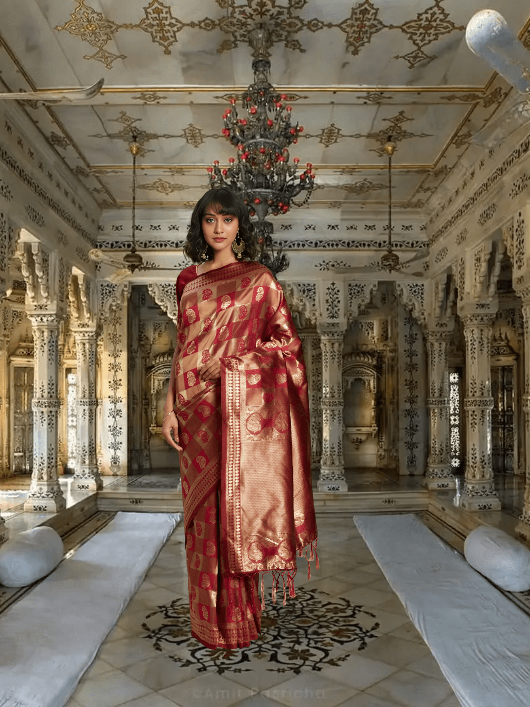Model draped in maroon Banarasi silk saree with gold motifs in palace interior