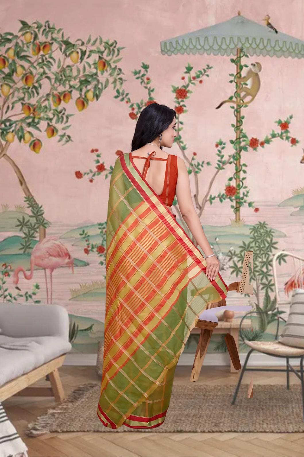 Rear view showcasing soft pallu fall and heritage checks