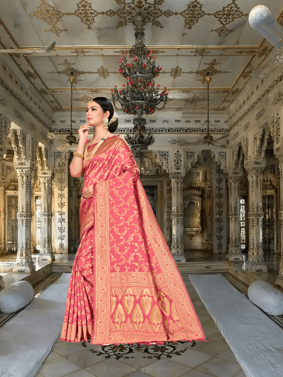 Model in rich red silk blend saree with golden motifs inside a palace room