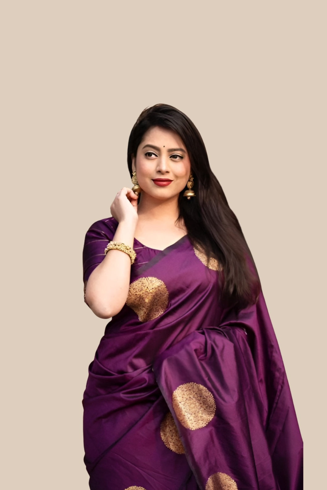 Studio front view of wine printed silk saree