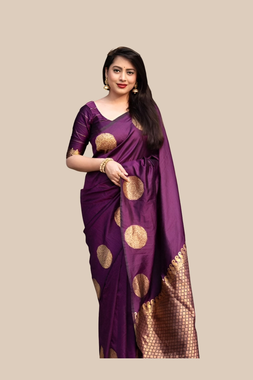 Studio front view of wine printed silk saree
