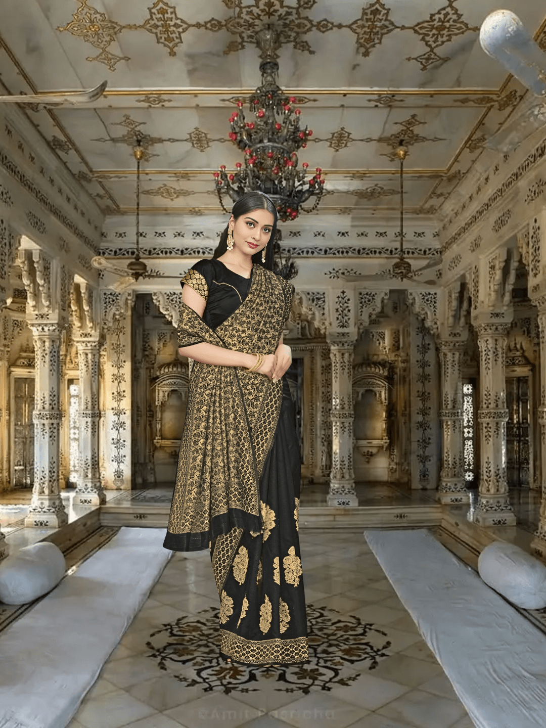 Model in black and gold Banarasi silk saree standing in ornate palace room