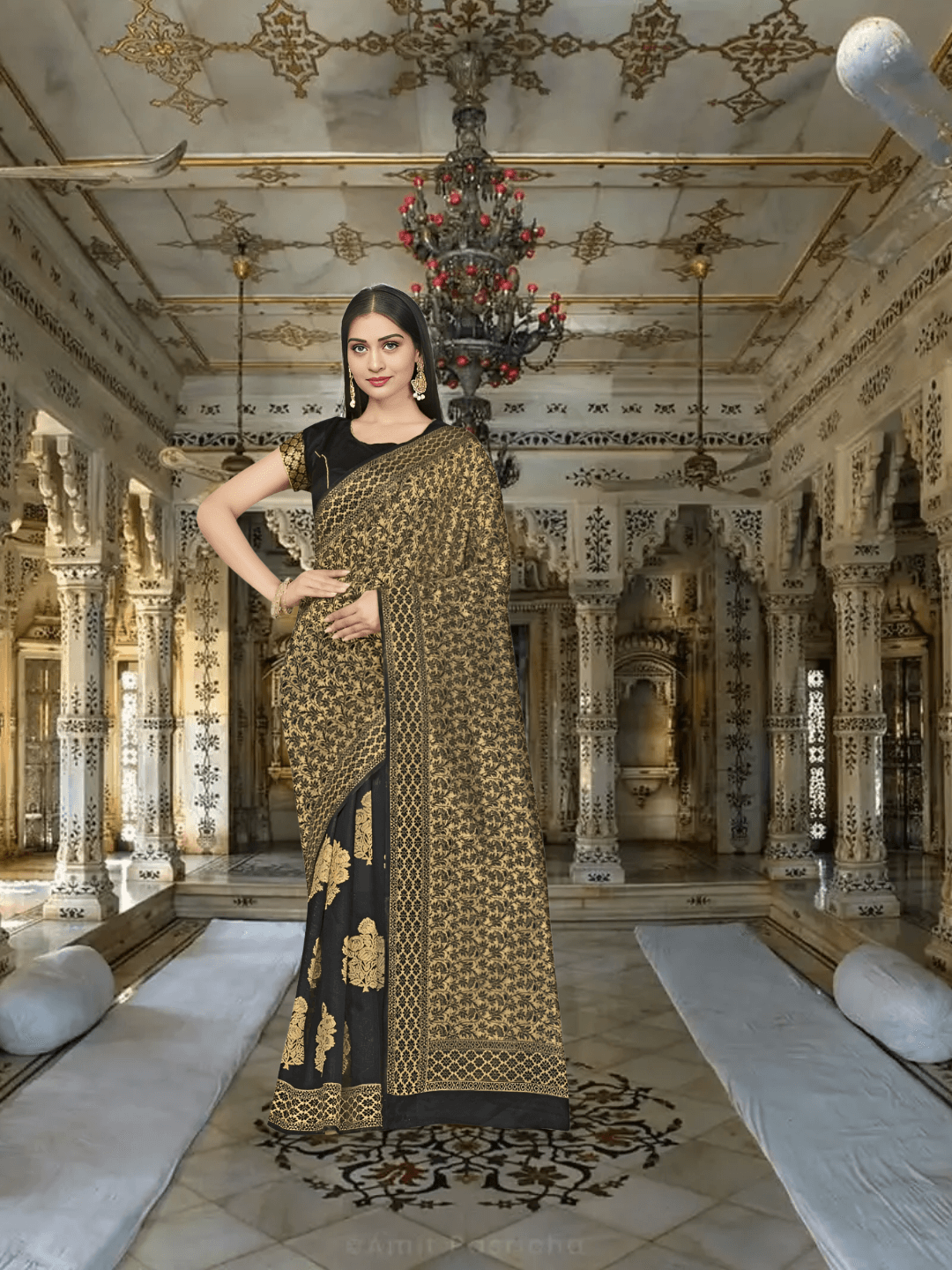 Model elegantly draped in black Banarasi saree with regal posture
