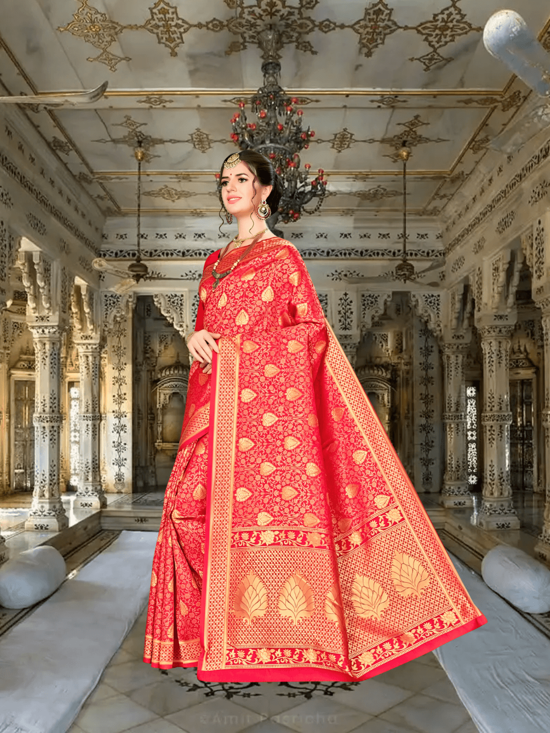 Model in red Banarasi silk saree with abstract gold motifs inside royal palace