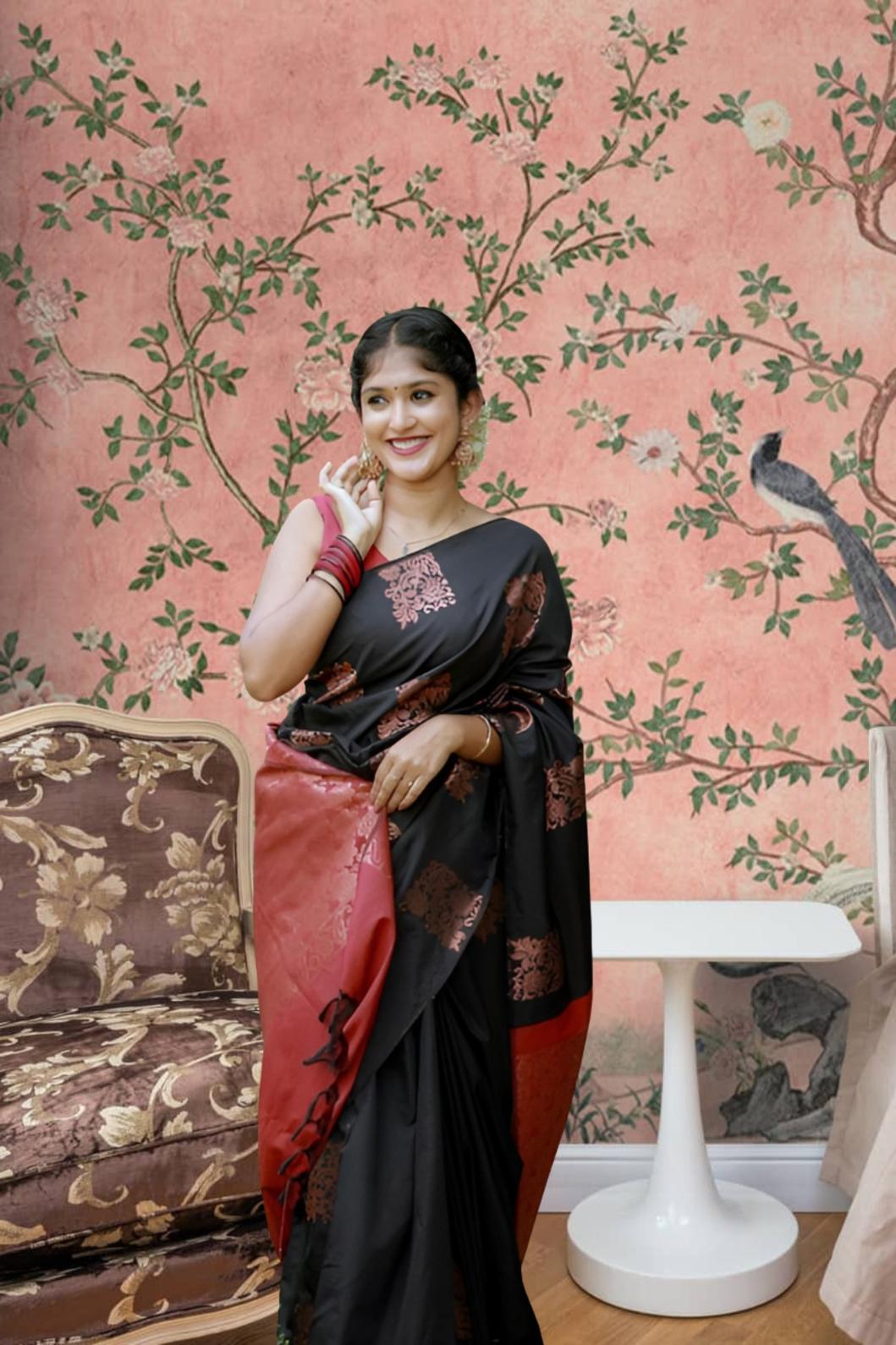 Front view of black-red silk saree in palace setting