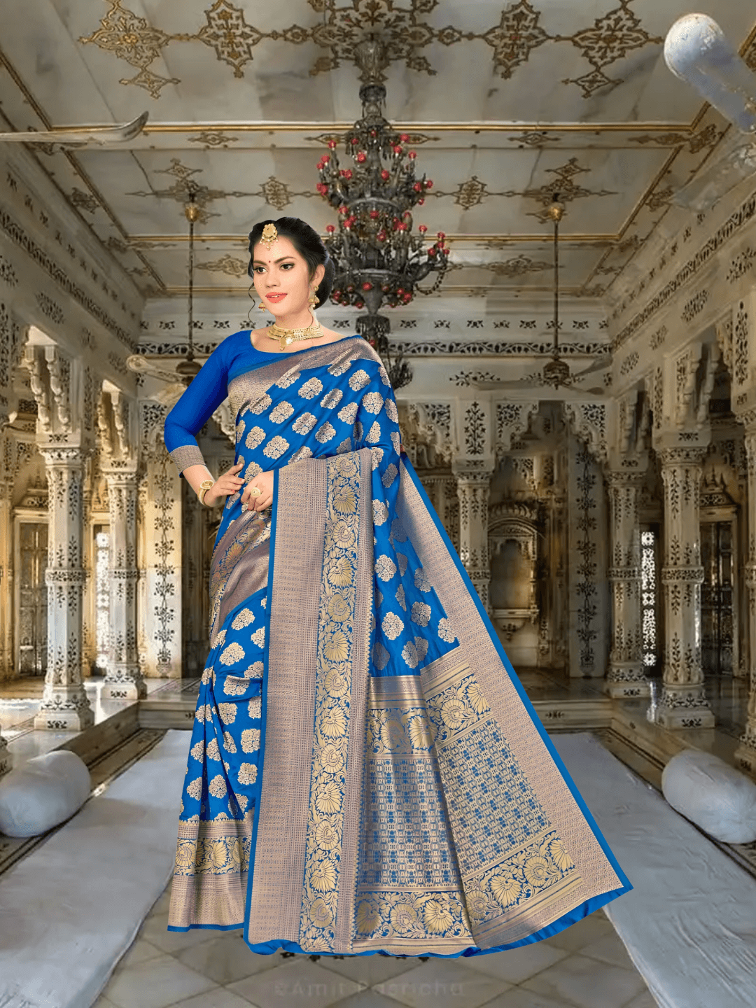 Model wearing blue Banarasi silk saree with golden motifs in a palace backdrop