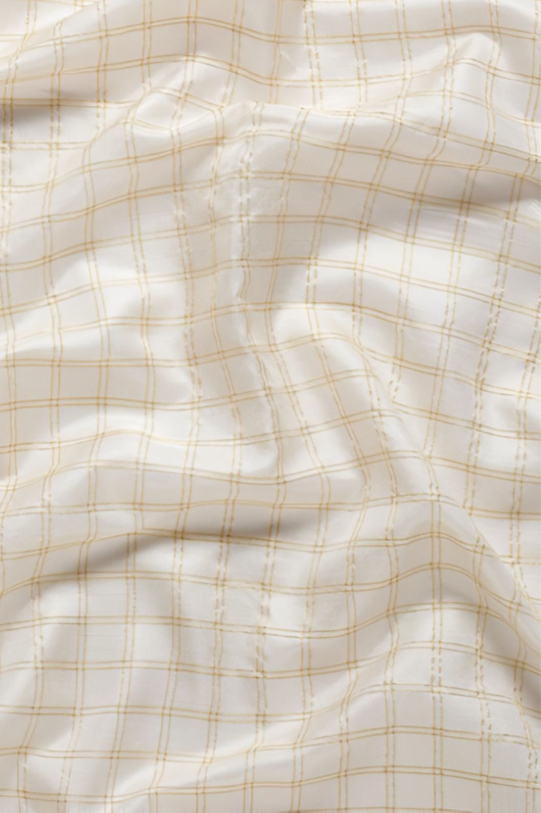 Studio close-up of black-gold border detail on soft white saree