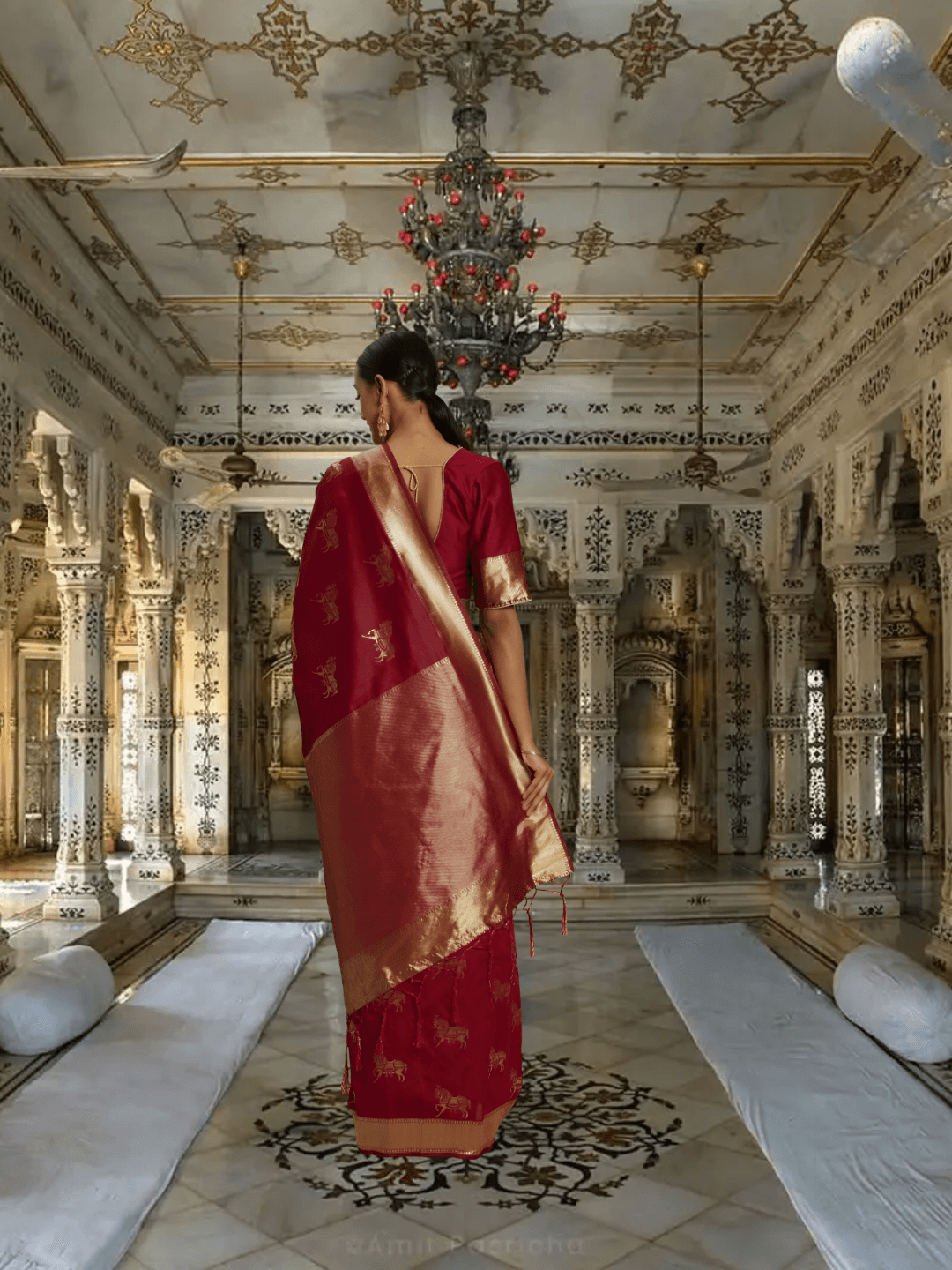 Red silk saree with gold elephant motifs and ornate border shown in royal setting