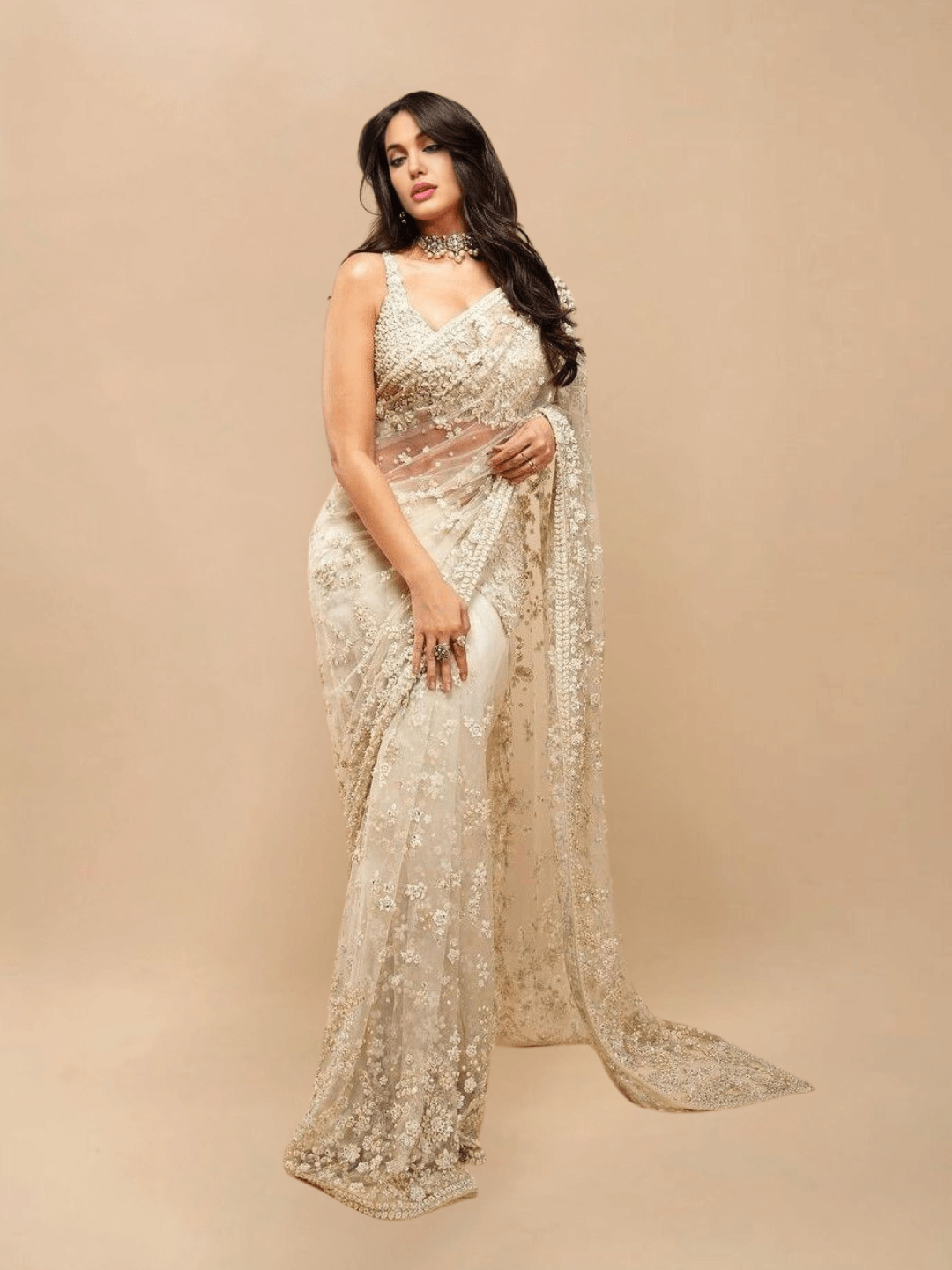 Beautiful Woman In netted Saree from Celestina 