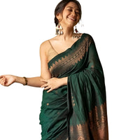 Studio image showing front view and pallu neatly styled