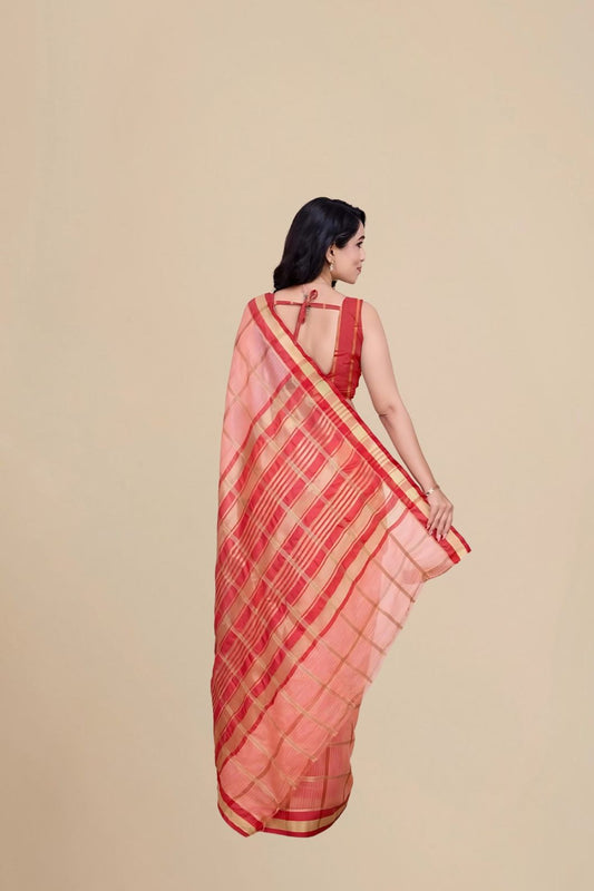 Back studio shot highlighting pallu design and blouse pairing