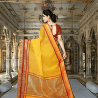 Back-facing pose showing full pallu spread, border glowing 
