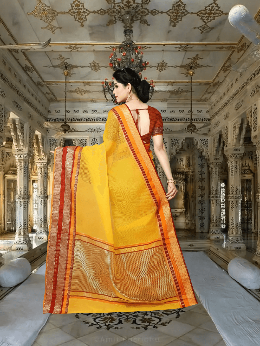 Back-facing pose showing full pallu spread, border glowing 
