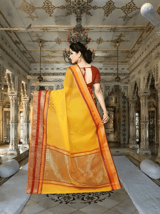 Back-facing pose showing full pallu spread, border glowing 