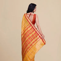 Studio back angle with pallu fall and blouse area