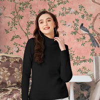 Front view of black high-neck t-shirt with full sleeves in palace backdrop