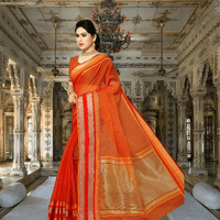 Back-facing shot with pallu extended, detailed view of border and fall