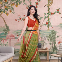  Front view of Mehendi green checkered saree in palace ambiance
