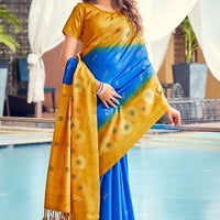 Studio front view showing full saree with color blend and structure