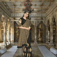 Model in black and gold Banarasi silk saree standing in ornate palace room