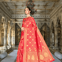 Model in red Banarasi silk saree with abstract gold motifs inside royal palace