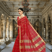 Saree draped mid-walk, showing heritage-inspired silhouette