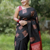 Front view of black-red silk saree in outdoor setting