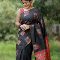 Front view of black-red silk saree in outdoor setting