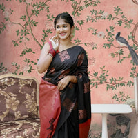 Front view of black-red silk saree in palace setting