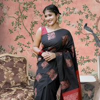 Front view of black-red silk saree in palace setting