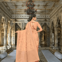 Banarasi saree pallu extended gracefully in regal palace background