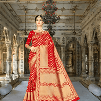 Model wearing red Banarasi silk saree with gold border in palace setting